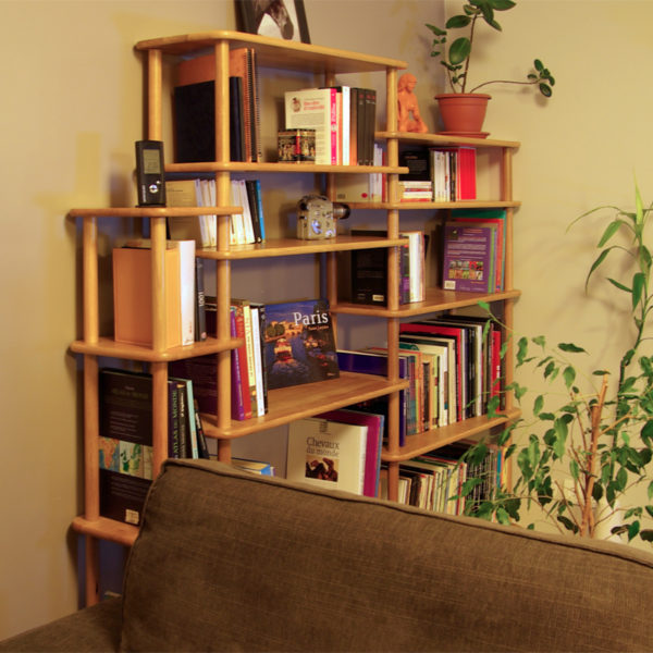 Solutions d'étagères et bibliothèques en bois massif modulables